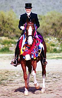 Aul Magic at Scottsdale Show
