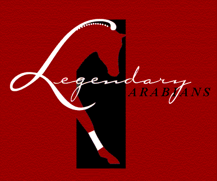 Legendary Arabians