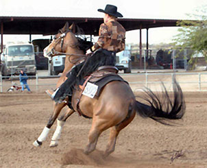 SA Auralee by Aul Magic